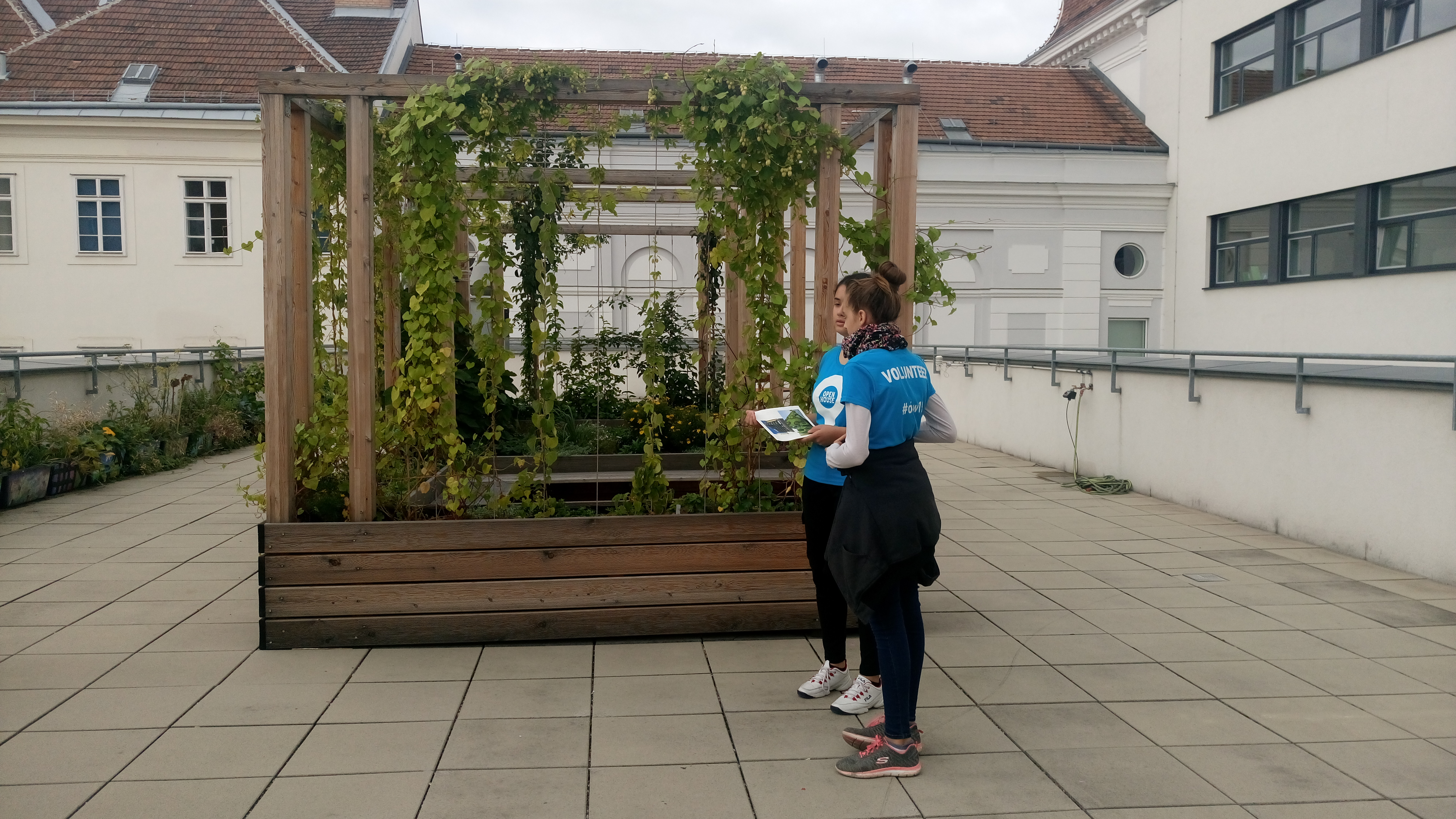 Open House Wien - Pergola
