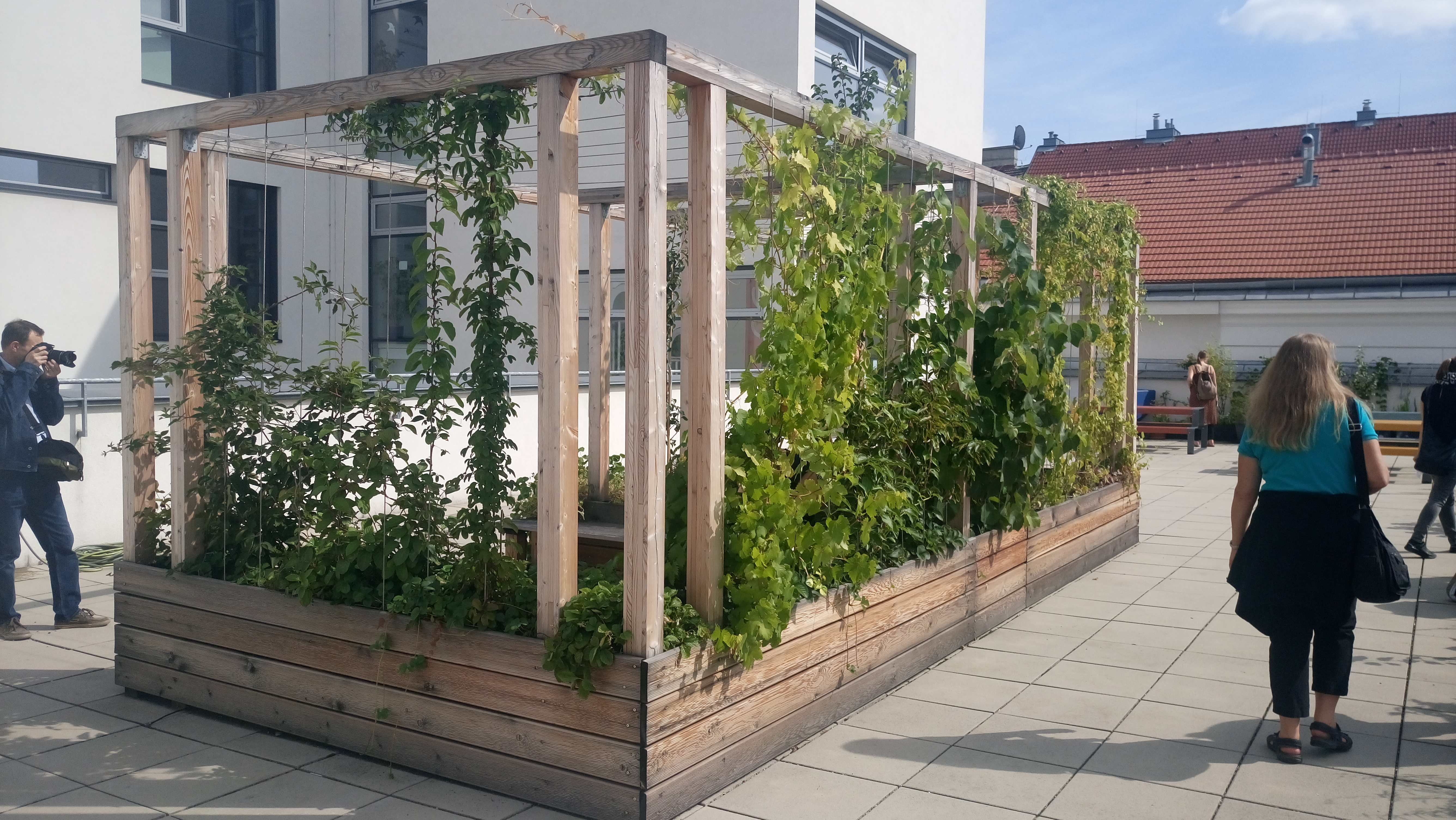 Open House Wien - Pergola