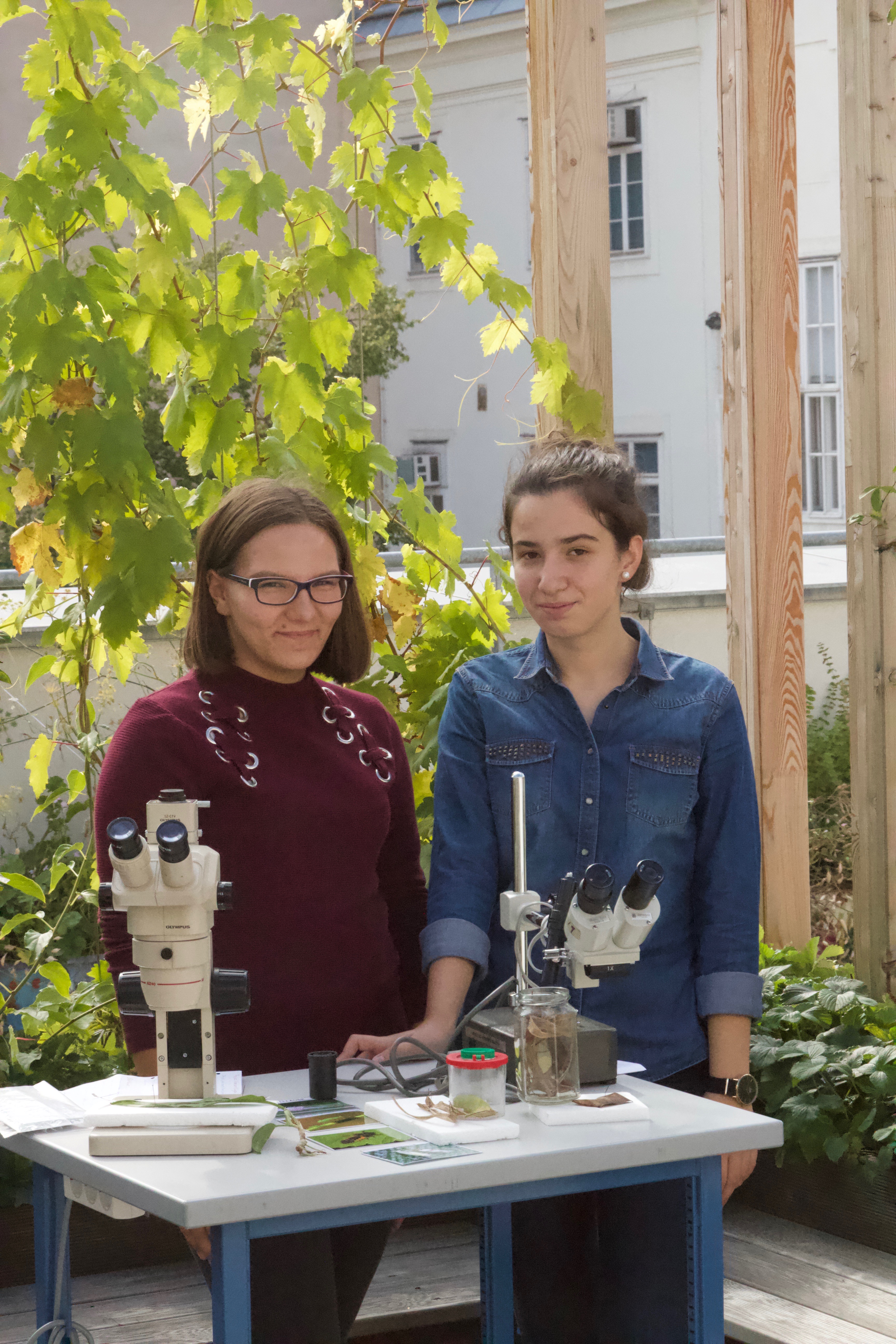 GZS_Open House Vernetzung_Schülerinnen bei der Insektenstation