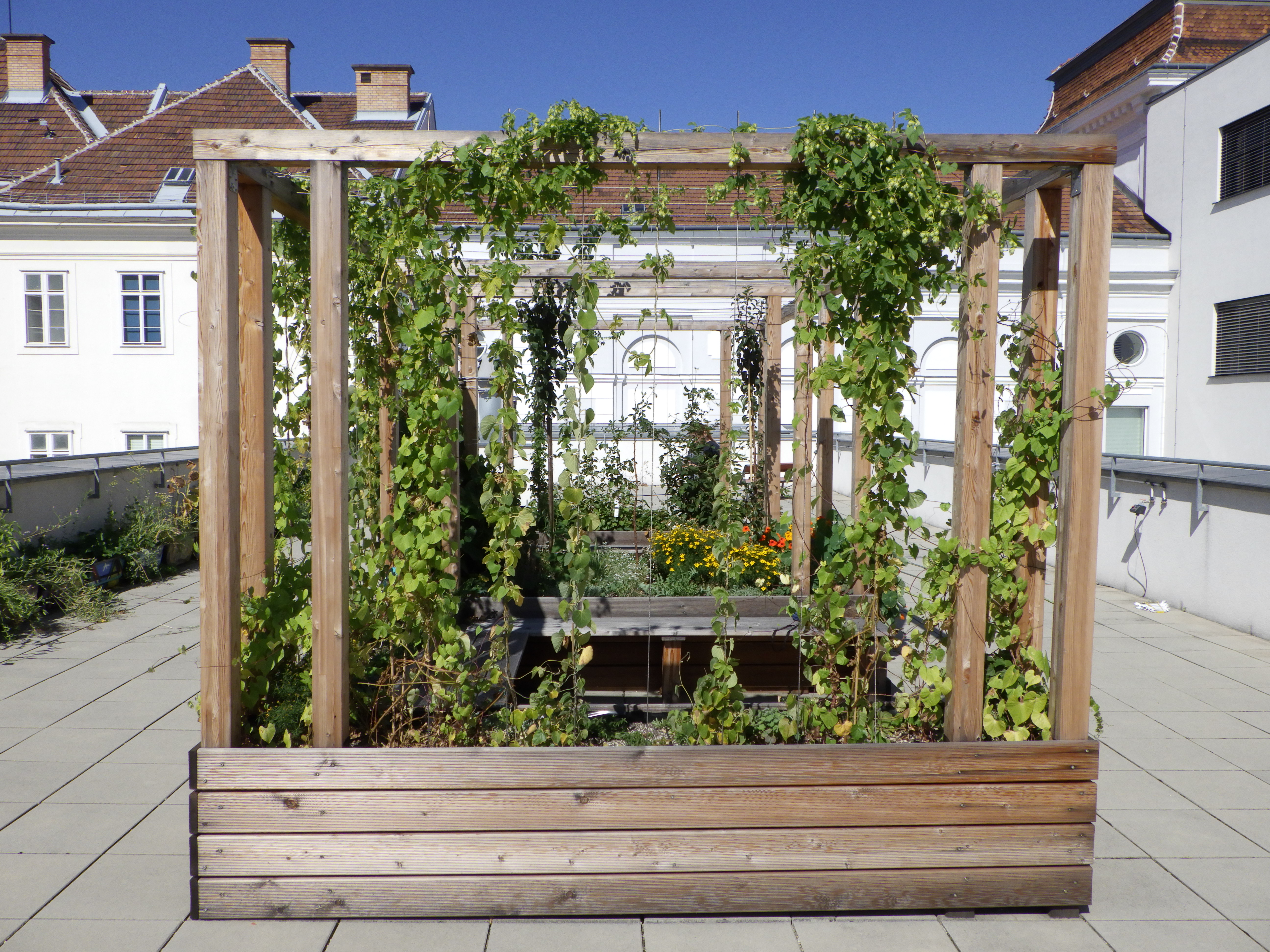 Pergola