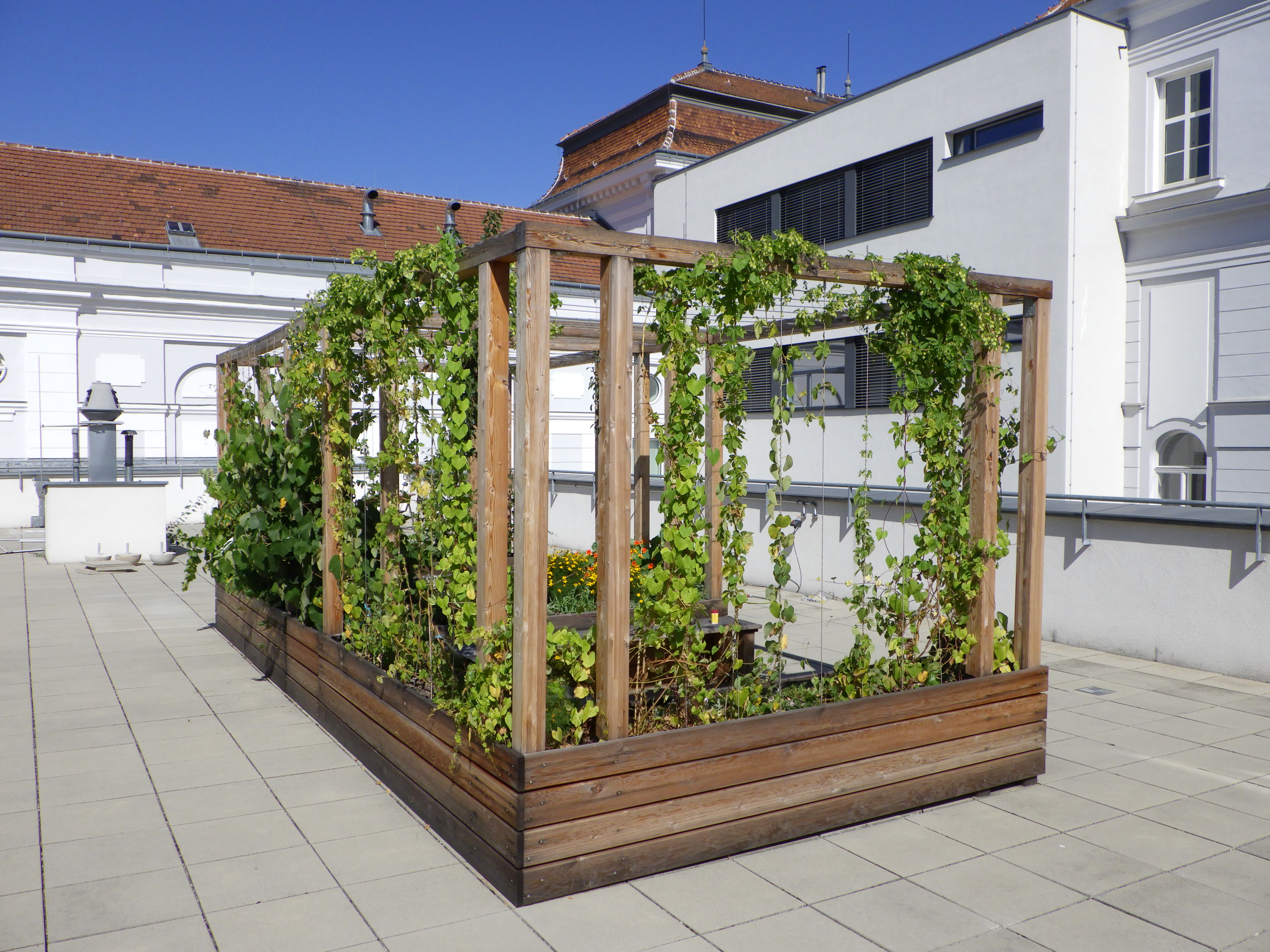 Pergola