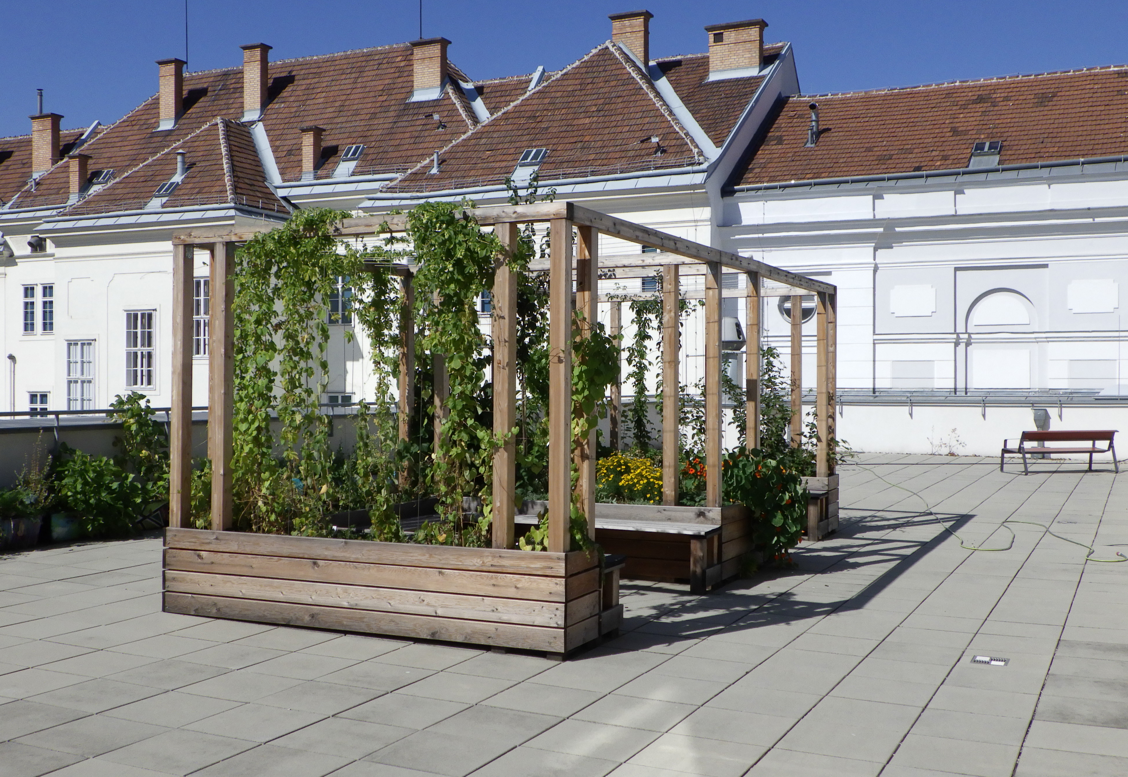 Pergola